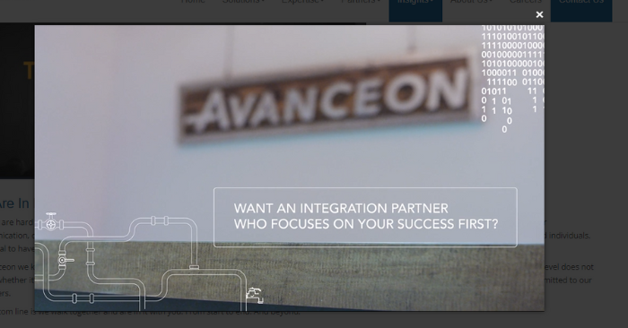 We Are In It With You - Avanceon